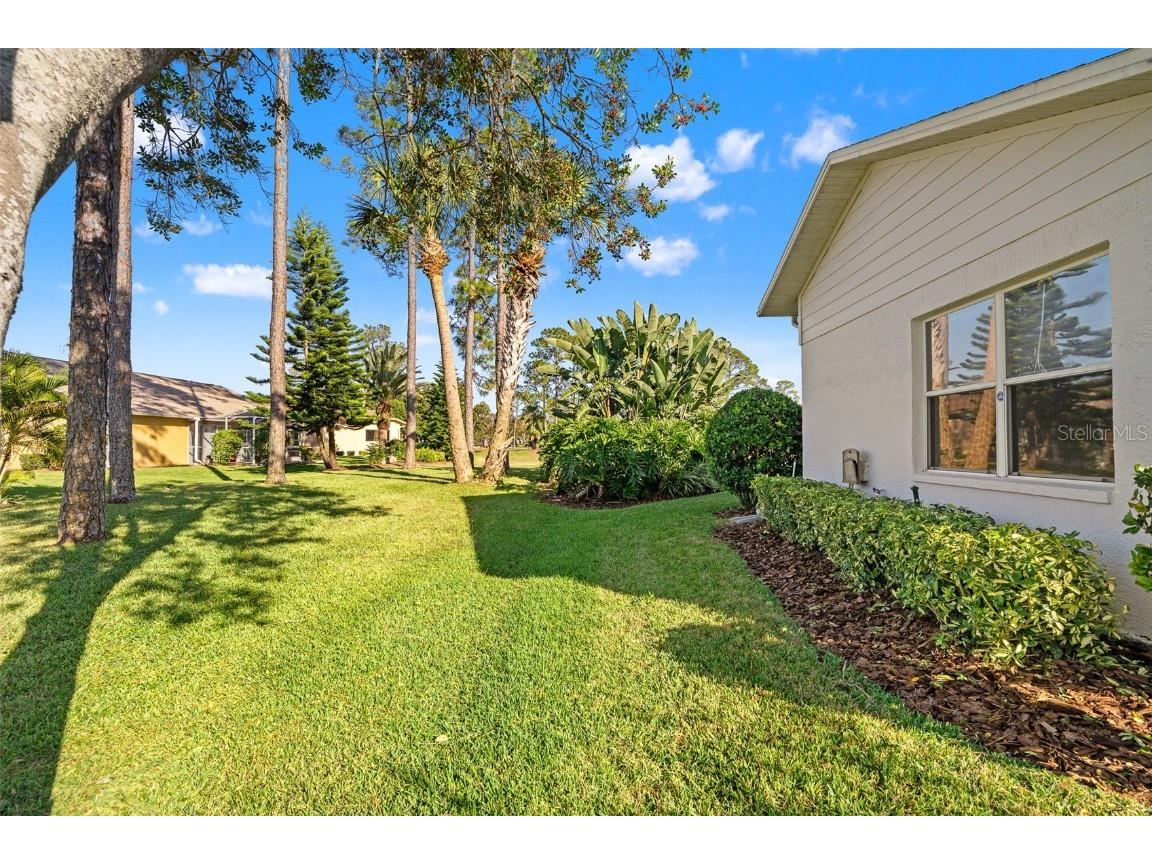 18715 Dove Hollow Court Hudson FL 34667 TB8448704 image46