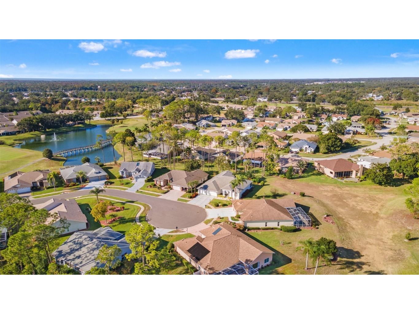 18715 Dove Hollow Court Hudson FL 34667 TB8448704 image48