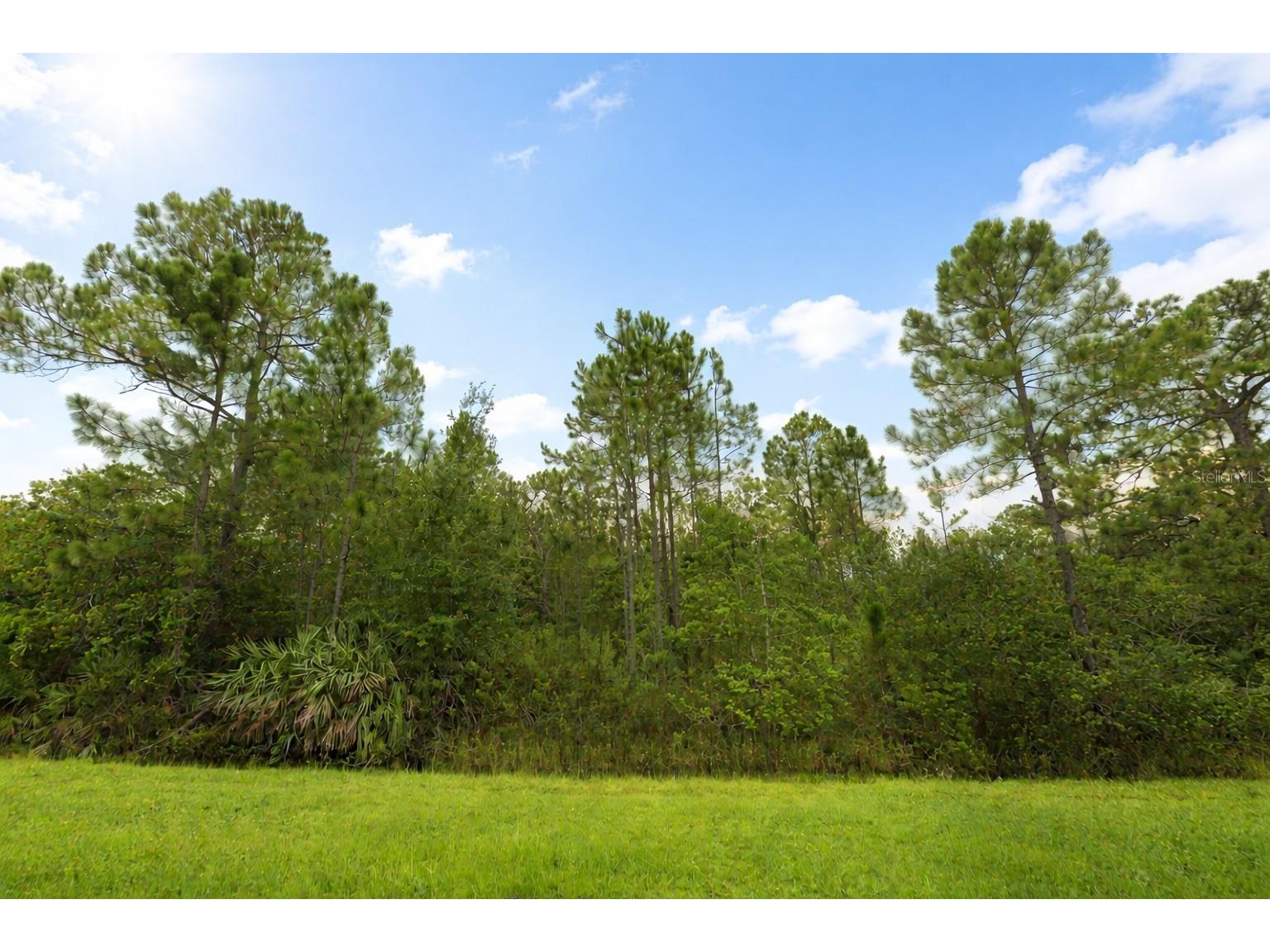 18715 Sodbury Street Orlando FL 32833 O6369041 image1