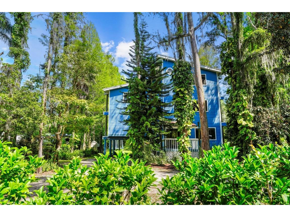 18716 Lake Commiston Drive Lutz FL 33549 TB8361511 image1