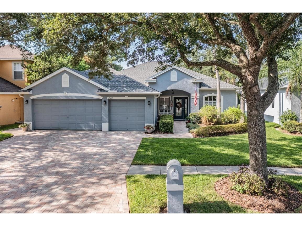 18718 Chopin Drive Lutz FL 33558 T3455942 image1