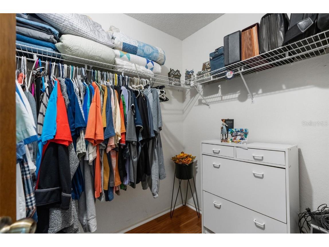 18719 Alexson Street Spring Hill FL 34610 T3549537 image22