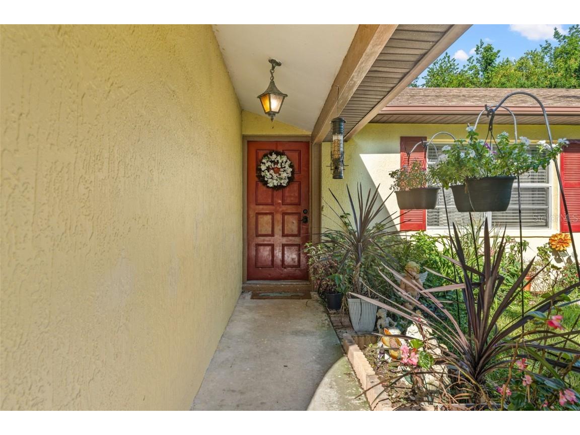 18719 Alexson Street Spring Hill FL 34610 T3549537 image3