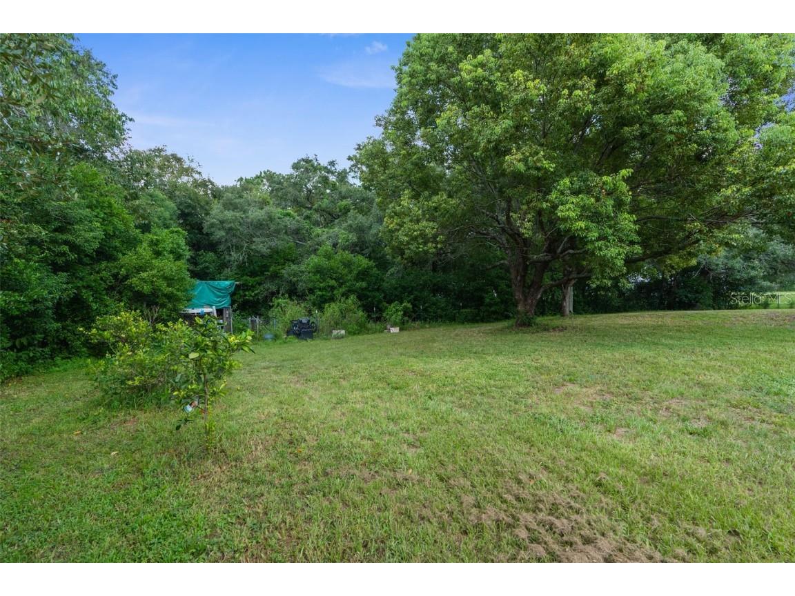 18719 Alexson Street Spring Hill FL 34610 T3549537 image35