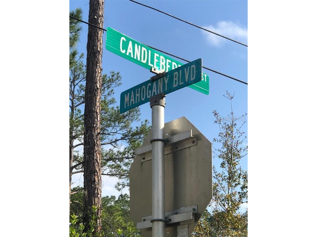 1872 Candleberry Street Bunnell FL 32110 FC297146 image1