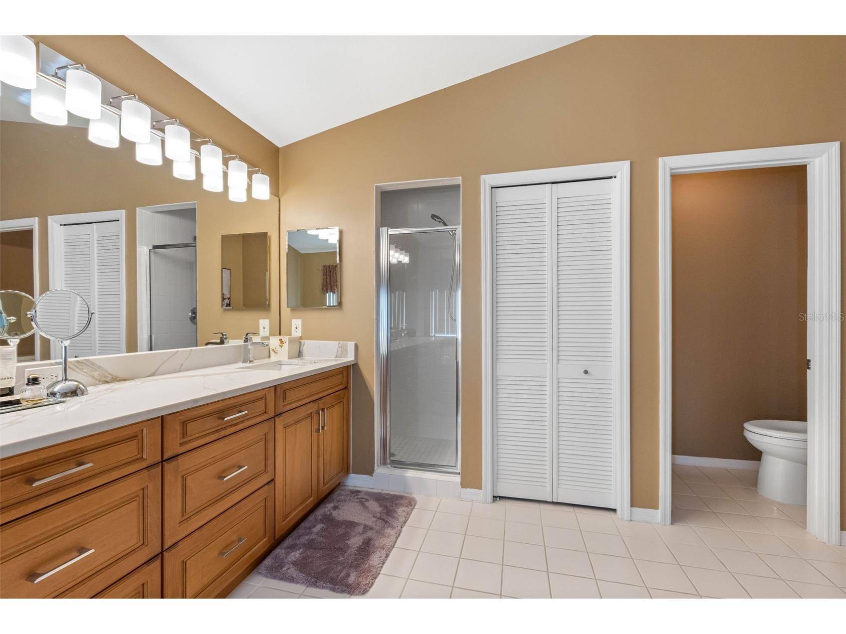 1872 Eagle Trace Boulevard Palm Harbor FL 34685 TB8490315 image20