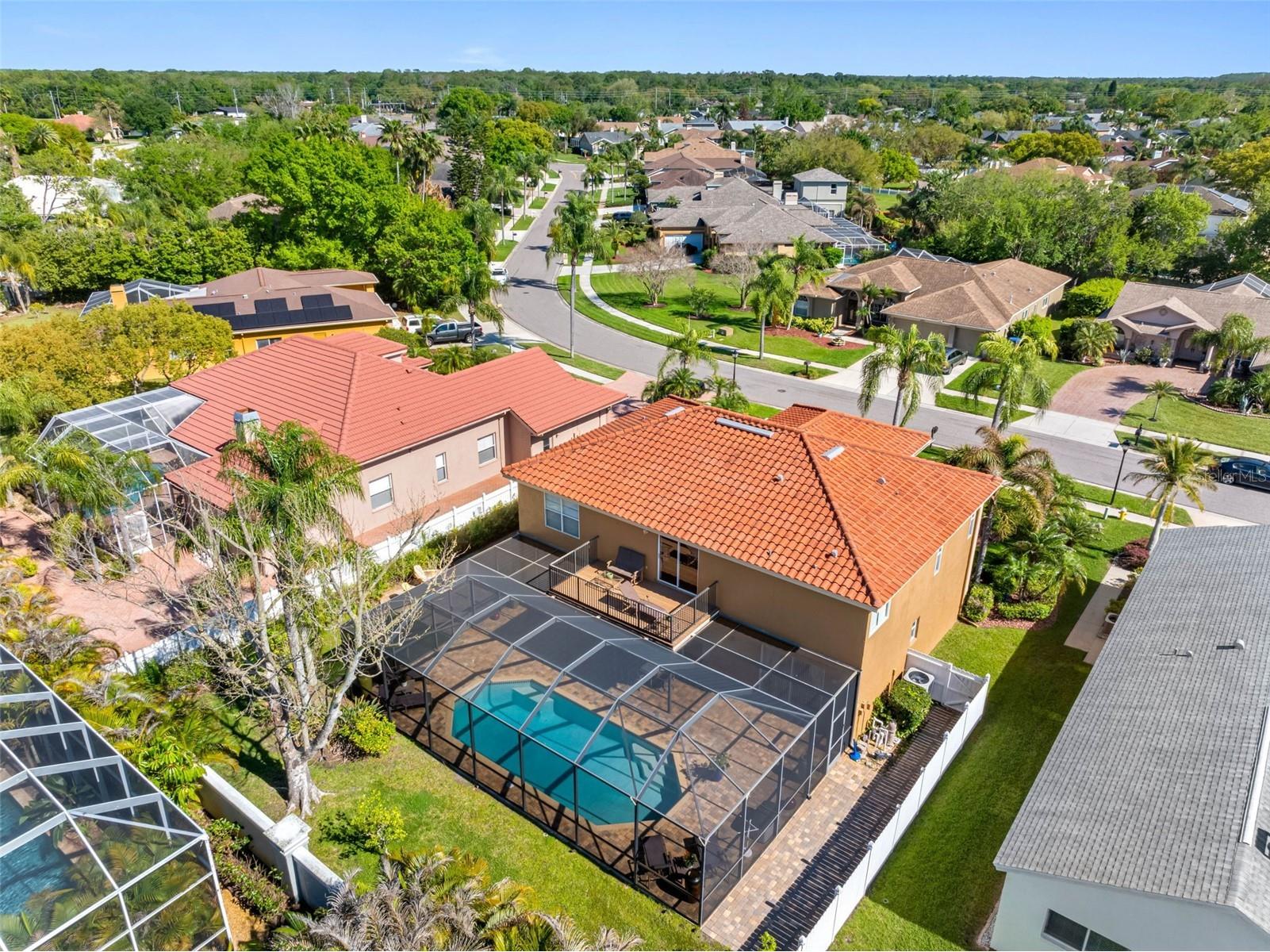 1872 Eagle Trace Boulevard Palm Harbor FL 34685 TB8490315 image4