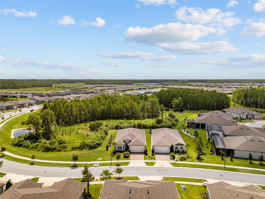 18722 Sailors Delight Pass Land O Lakes FL 34638 TB8409179 image10