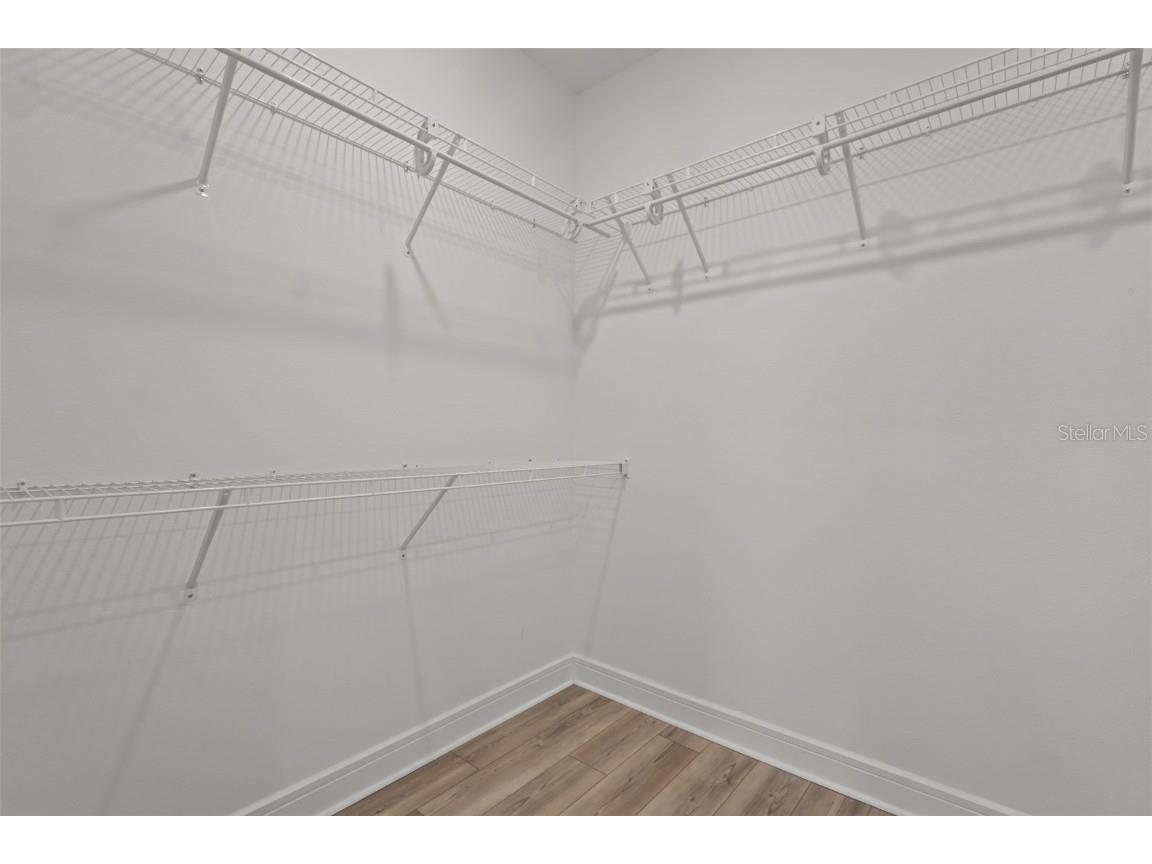 18722 Sailors Delight Pass Land O Lakes FL 34638 TB8409179 image22