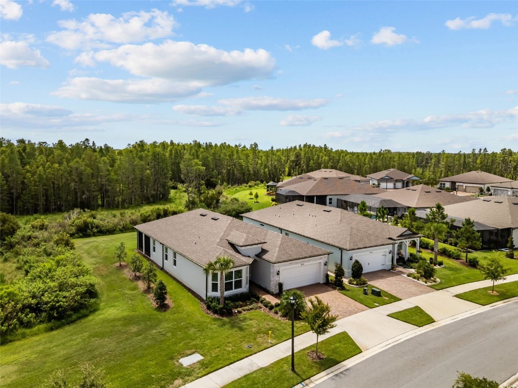 18722 Sailors Delight Pass Land O Lakes FL 34638 TB8409179 image36