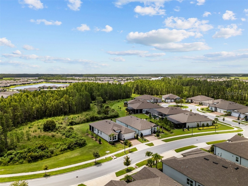 18722 Sailors Delight Pass Land O Lakes FL 34638 TB8409179 image37