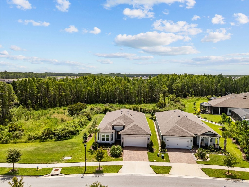 18722 Sailors Delight Pass Land O Lakes FL 34638 TB8409179 image41