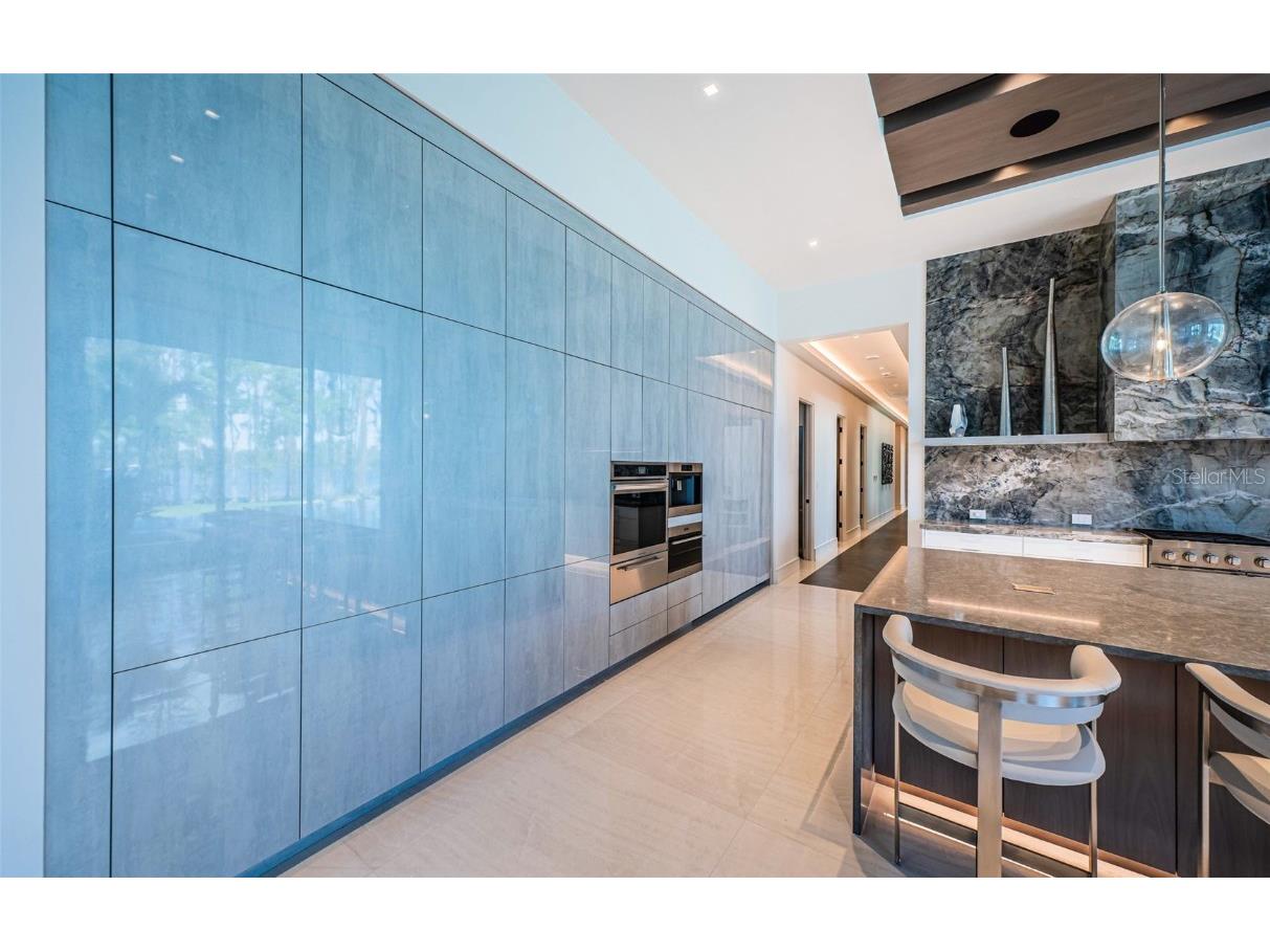 18725 Jiretz Road Odessa FL 33556 W7874108 image23