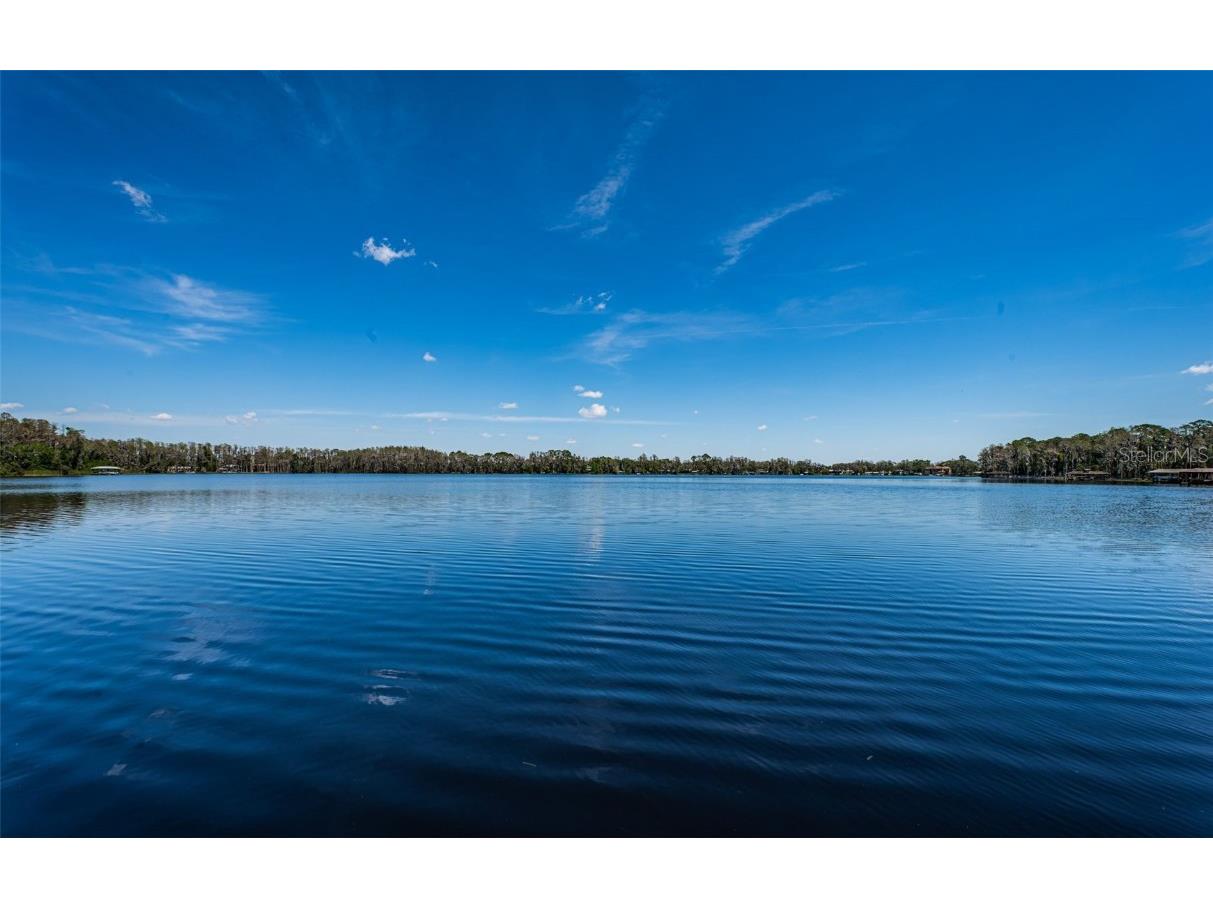 18725 Jiretz Road Odessa FL 33556 W7874108 image7