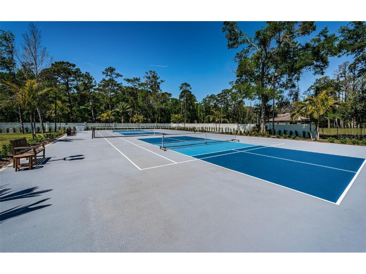 18725 Jiretz Road Odessa FL 33556 W7874108 image83