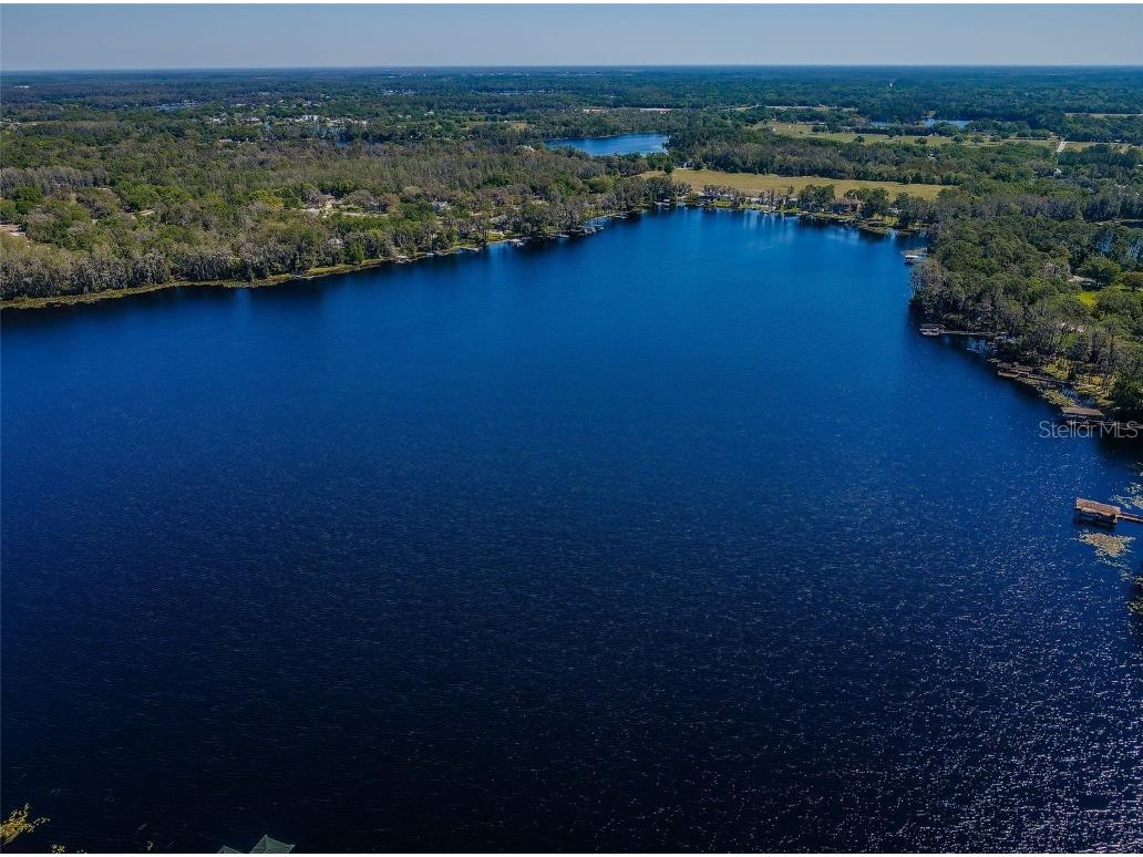 18725 Jiretz Road Odessa FL 33556 W7874108 image99