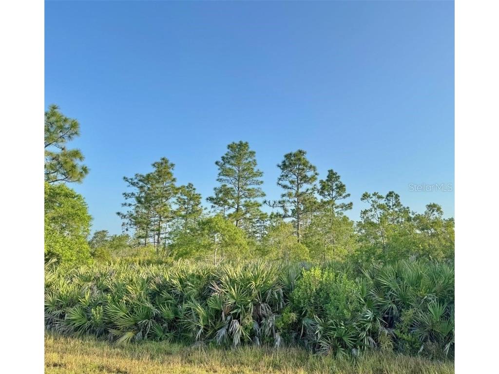 18725 Mosby Street Orlando FL 32833 O6203084 image1