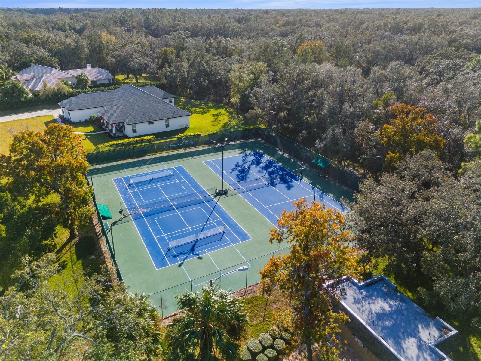 18729 Bascomb Lane Hudson FL 34667 W7884259 image78