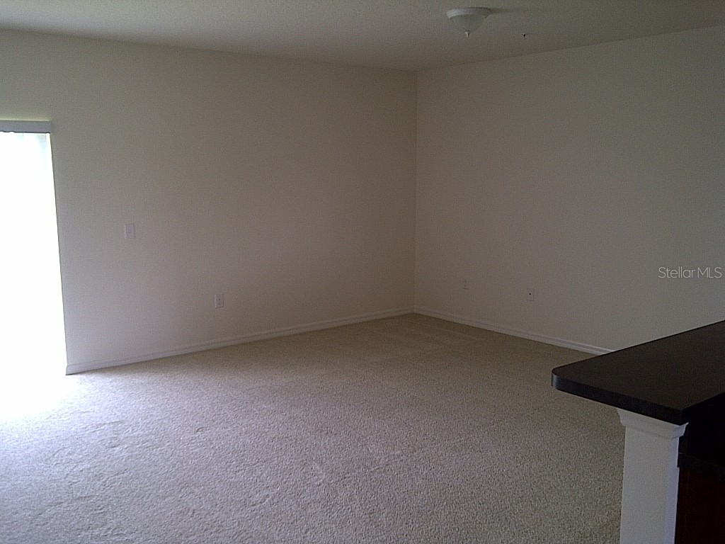 1873 Chatham Place Drive Orlando FL 32824 O6387583 image6