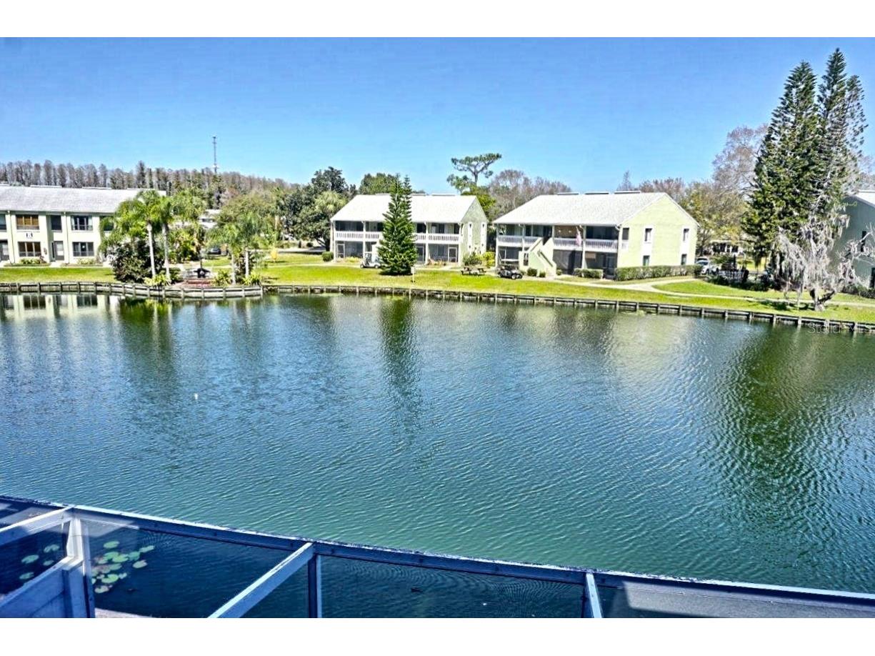 1873 Mazo Manor #5 Lutz FL 33558 W7885501 image22