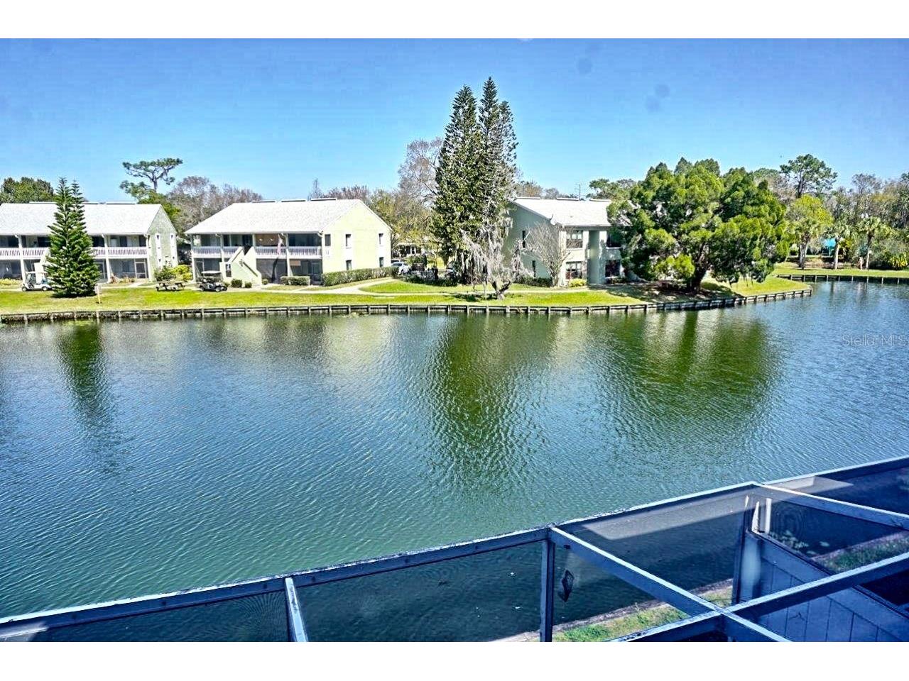 1873 Mazo Manor #5 Lutz FL 33558 W7885501 image23