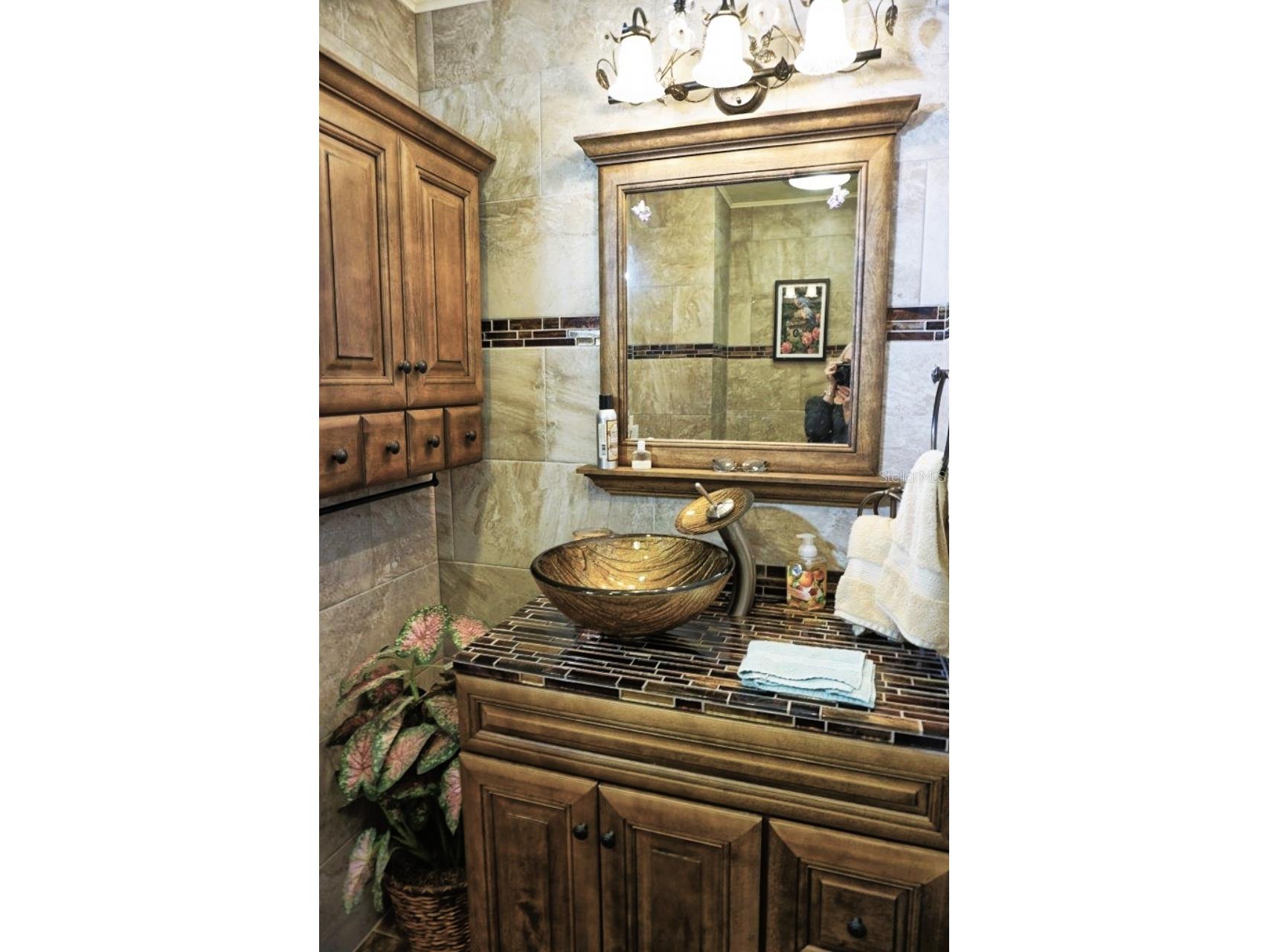 1873 Mazo Manor #5 Lutz FL 33558 W7885501 image32