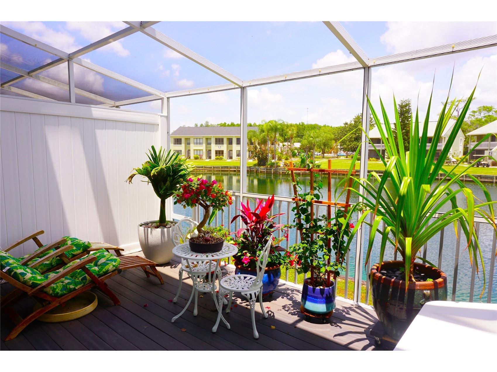1873 Mazo Manor #5 Lutz FL 33558 W7885501 image34