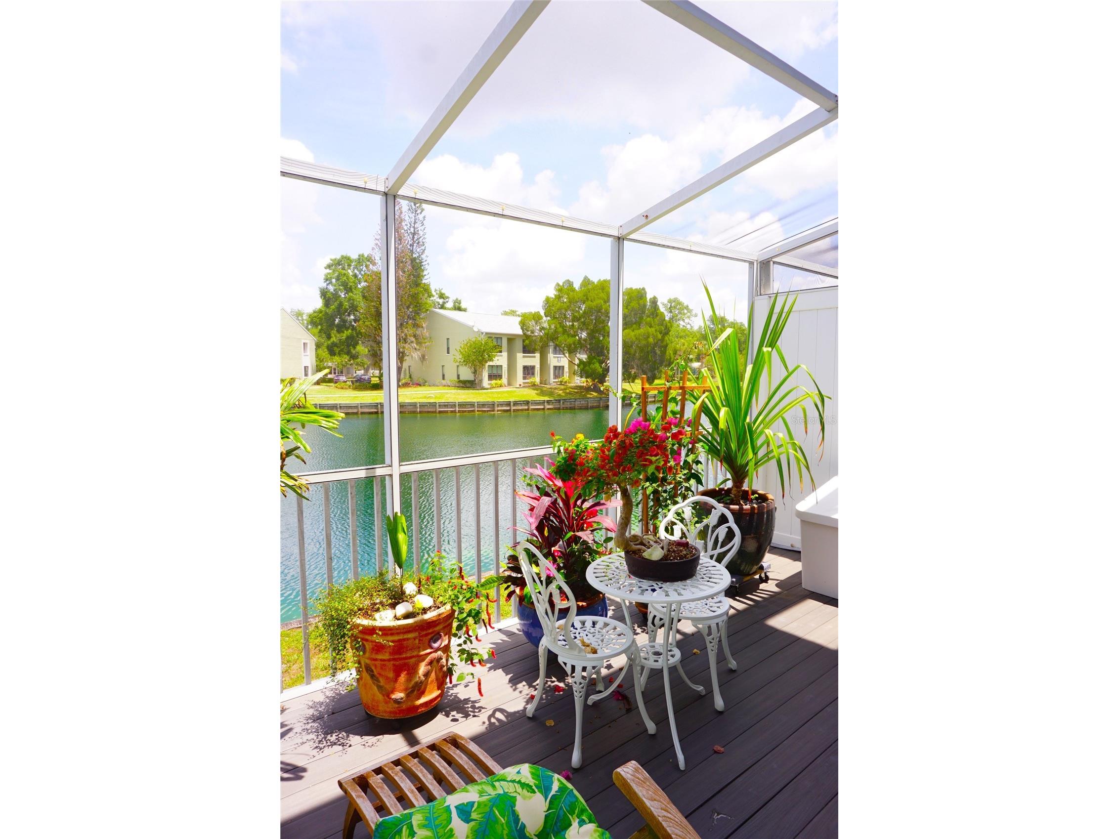 1873 Mazo Manor #5 Lutz FL 33558 W7885501 image36