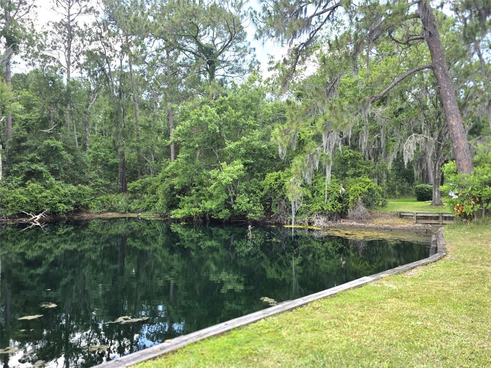 1873 Mazo Manor #5 Lutz FL 33558 W7885501 image39