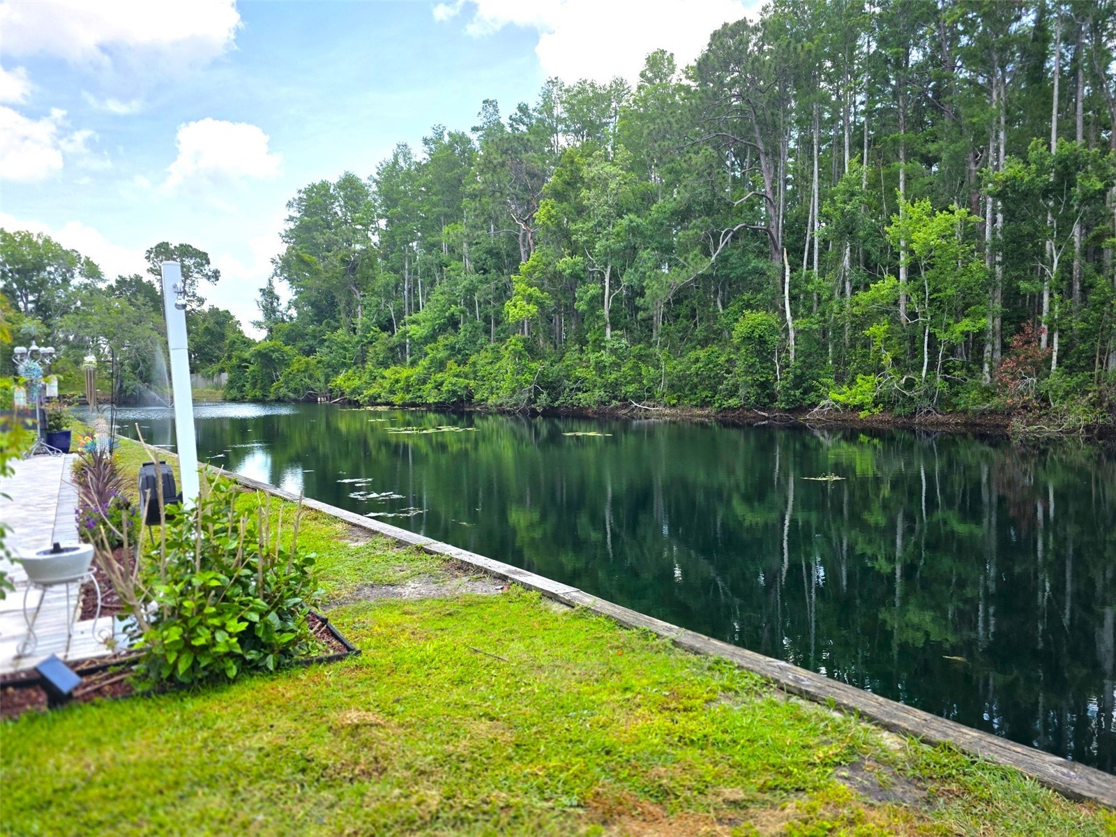1873 Mazo Manor #5 Lutz FL 33558 W7885501 image40