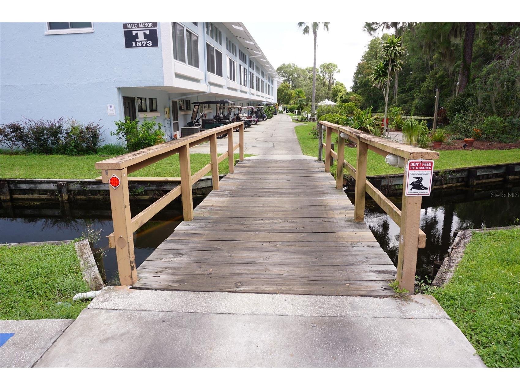 1873 Mazo Manor #5 Lutz FL 33558 W7885501 image41