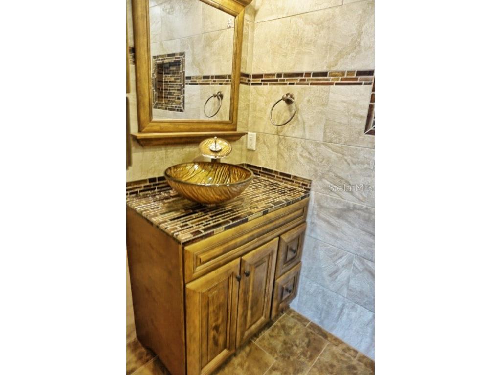 1873 Mazo Manor #T5 Lutz FL 33558 W7862448 image10