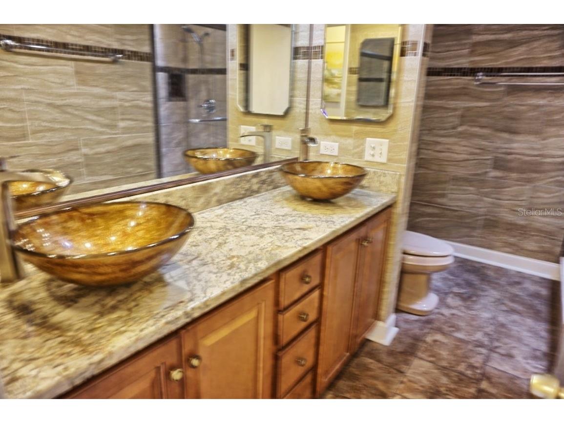 1873 Mazo Manor #T5 Lutz FL 33558 W7862448 image15