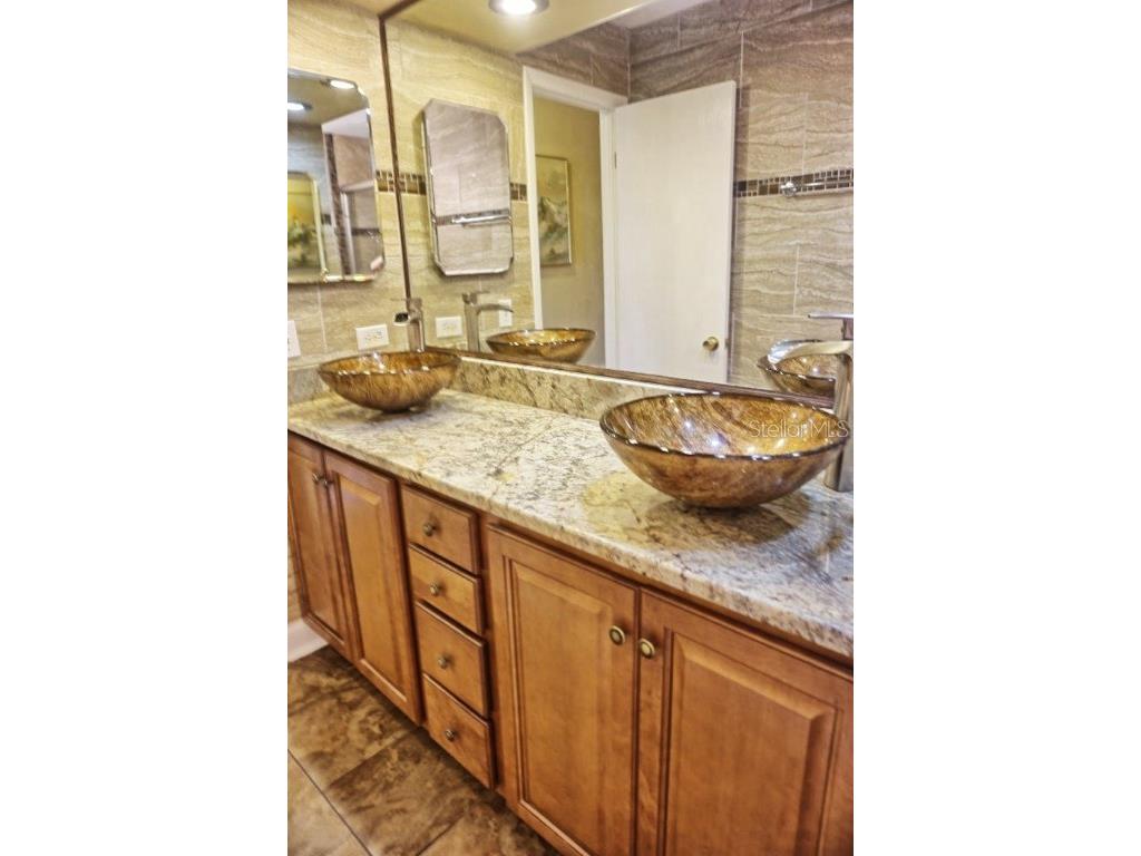 1873 Mazo Manor #T5 Lutz FL 33558 W7862448 image16