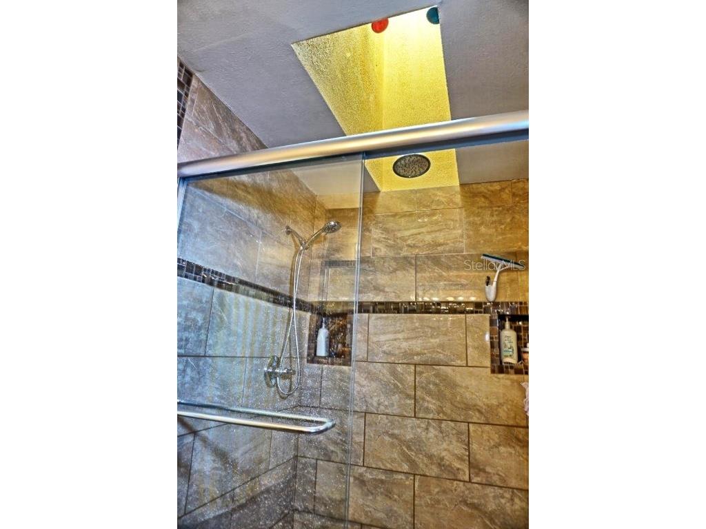 1873 Mazo Manor #T5 Lutz FL 33558 W7862448 image18