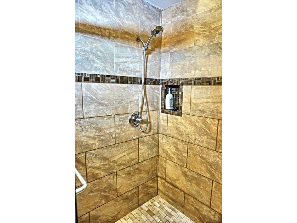 1873 Mazo Manor #T5 Lutz FL 33558 W7862448 image19