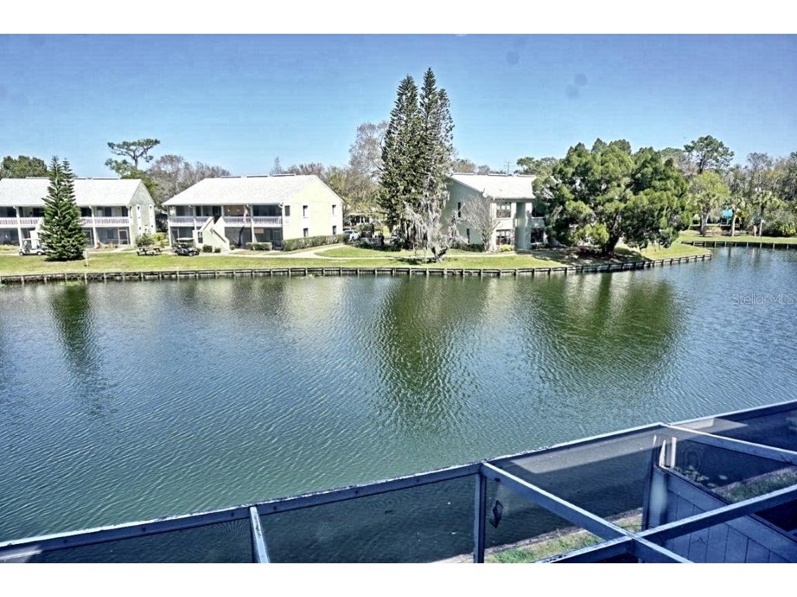 1873 Mazo Manor #T5 Lutz FL 33558 W7862448 image20