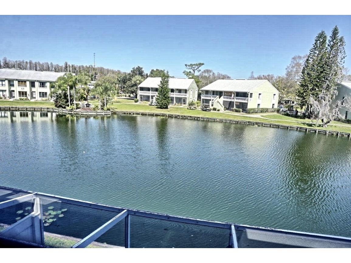 1873 Mazo Manor #T5 Lutz FL 33558 W7862448 image21