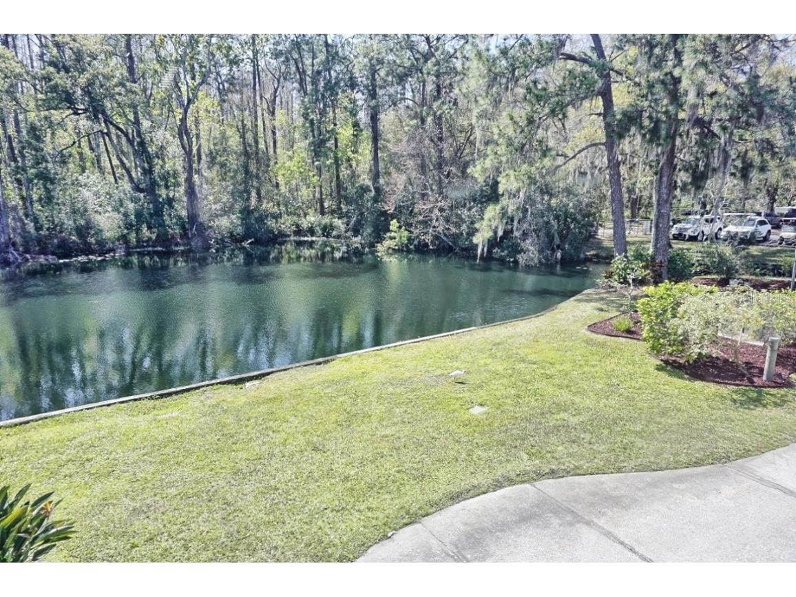 1873 Mazo Manor #T5 Lutz FL 33558 W7862448 image27