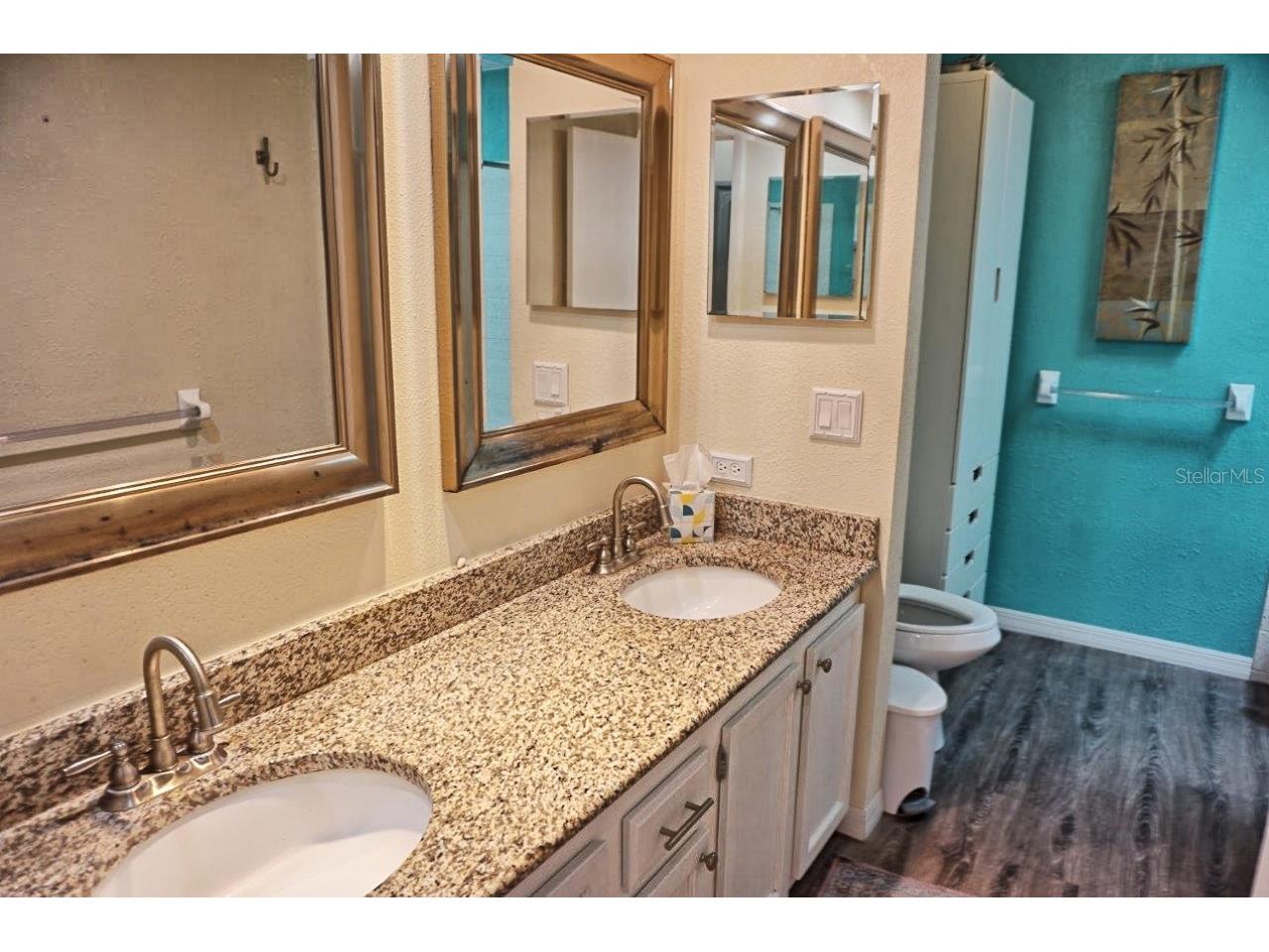 1873 Mazo Manor #T9 Lutz FL 33558 W7884572 image26