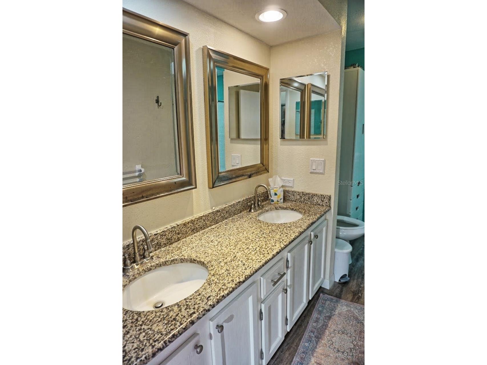 1873 Mazo Manor #T9 Lutz FL 33558 W7884572 image27
