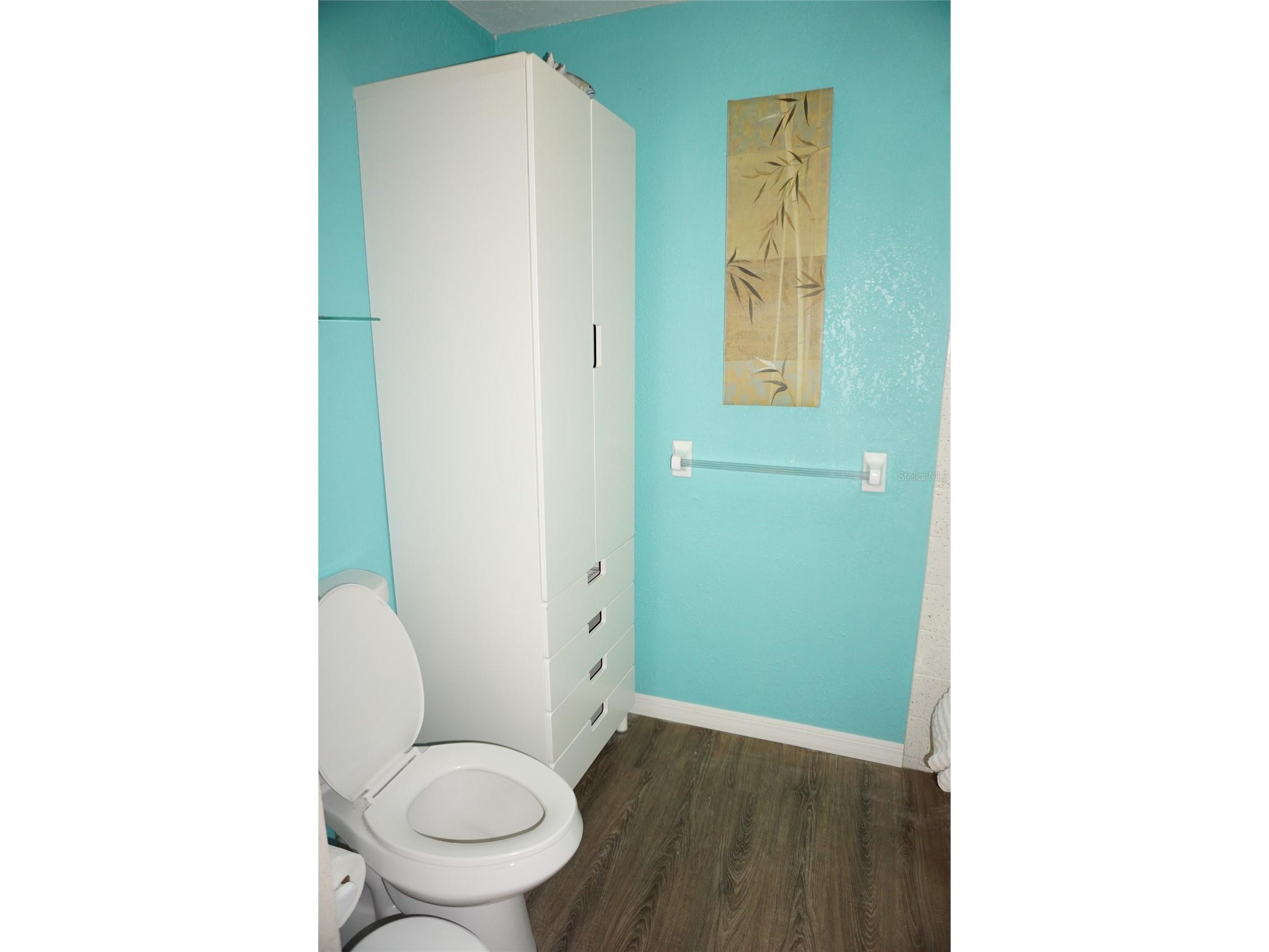 1873 Mazo Manor #T9 Lutz FL 33558 W7884572 image28