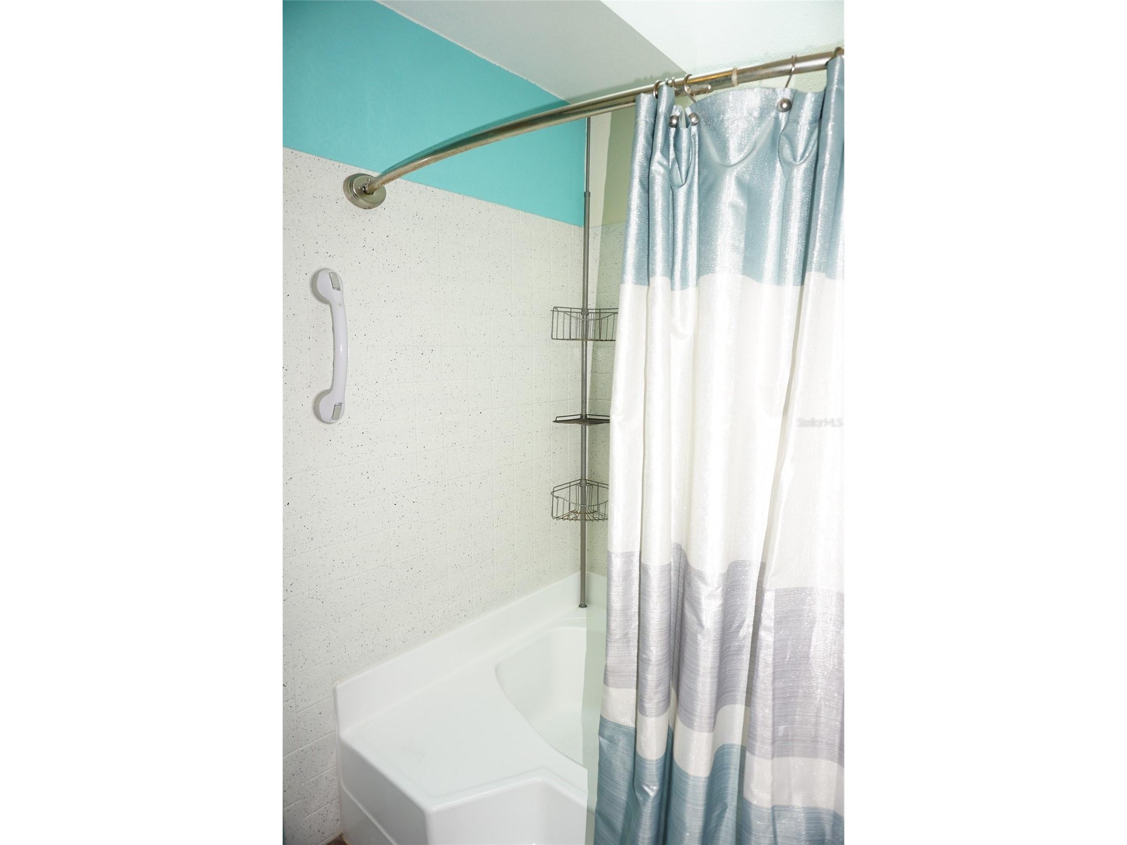1873 Mazo Manor #T9 Lutz FL 33558 W7884572 image29