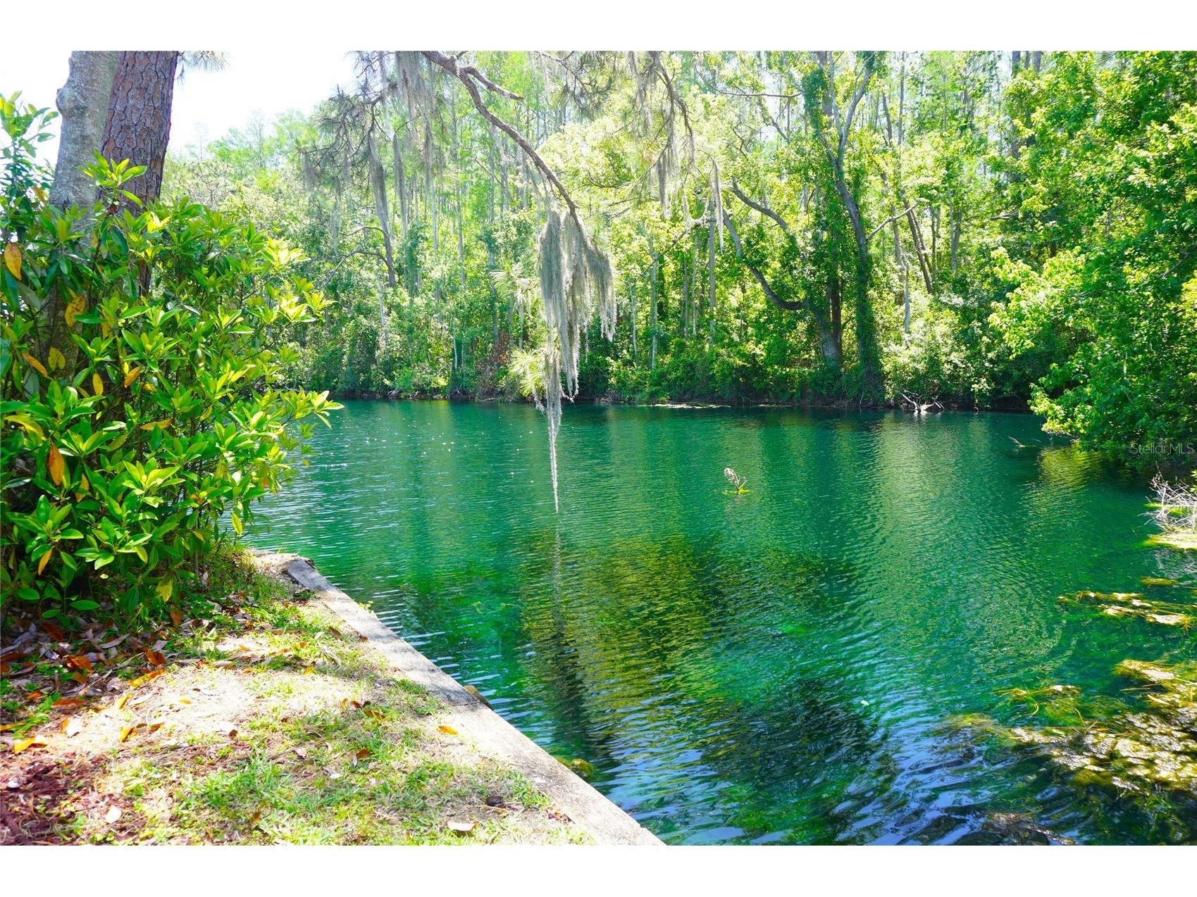 1873 Mazo Manor #T9 Lutz FL 33558 W7884572 image3