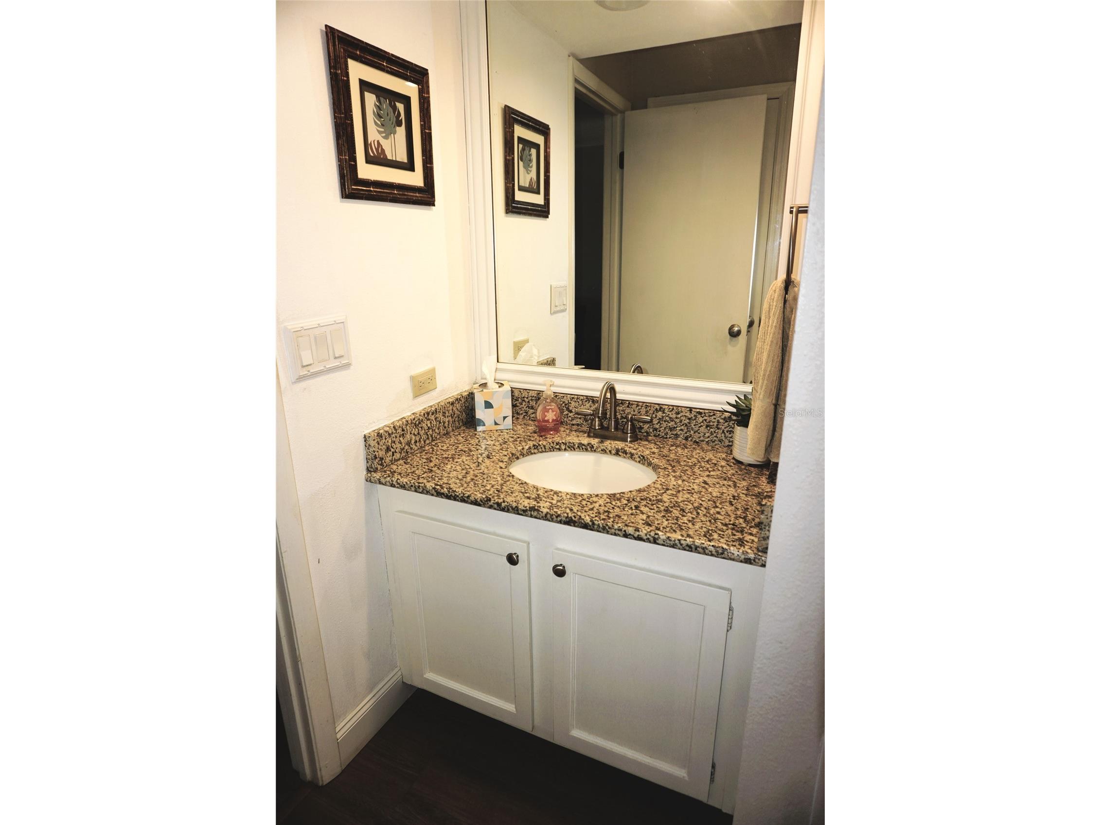 1873 Mazo Manor #T9 Lutz FL 33558 W7884572 image35