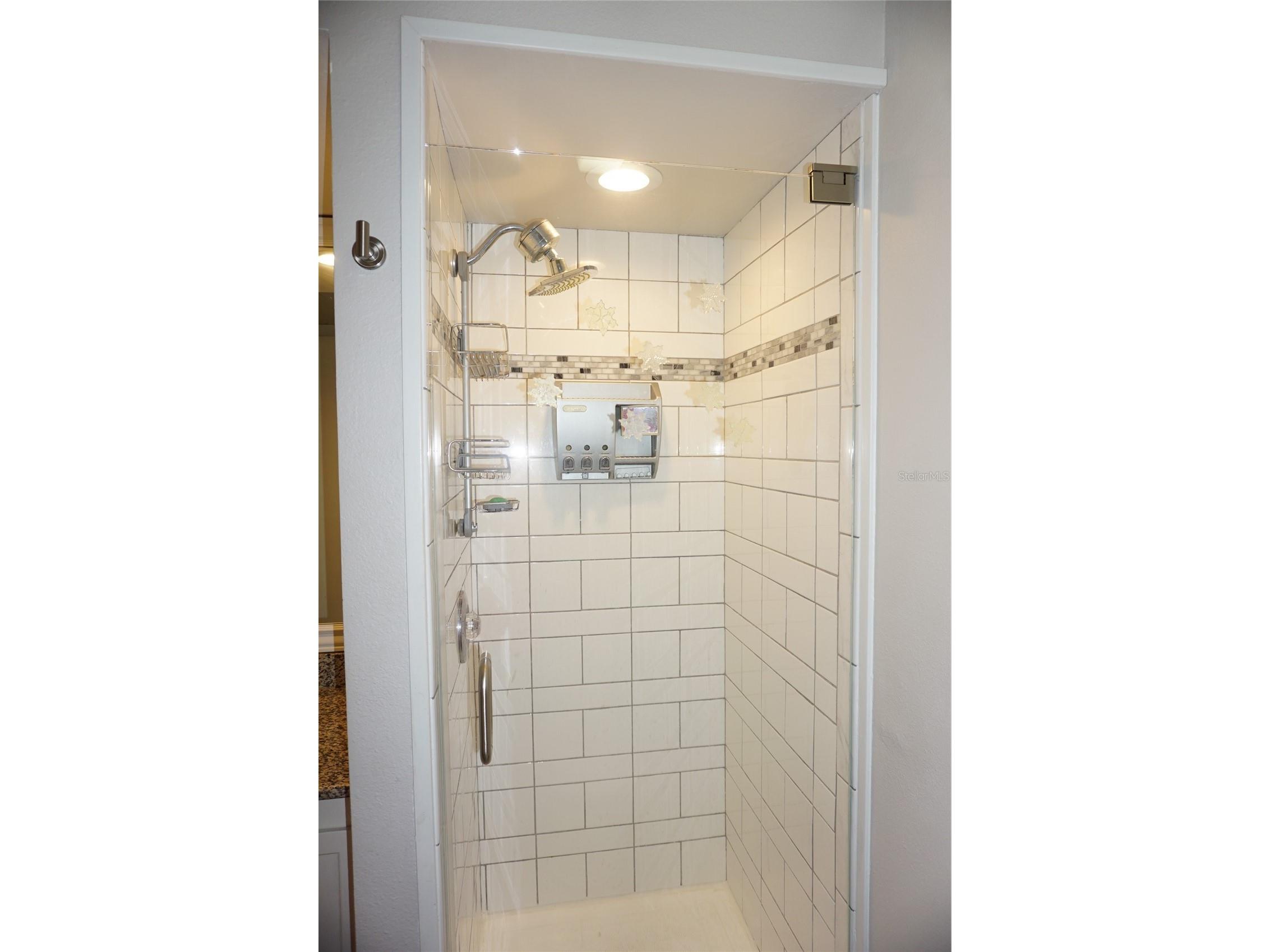 1873 Mazo Manor #T9 Lutz FL 33558 W7884572 image36