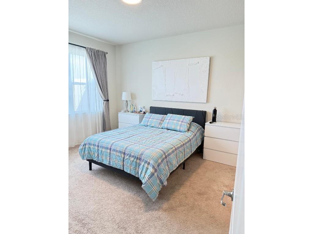 1873 Spring Shower Circle Kissimmee FL 34744 S5133310 image10