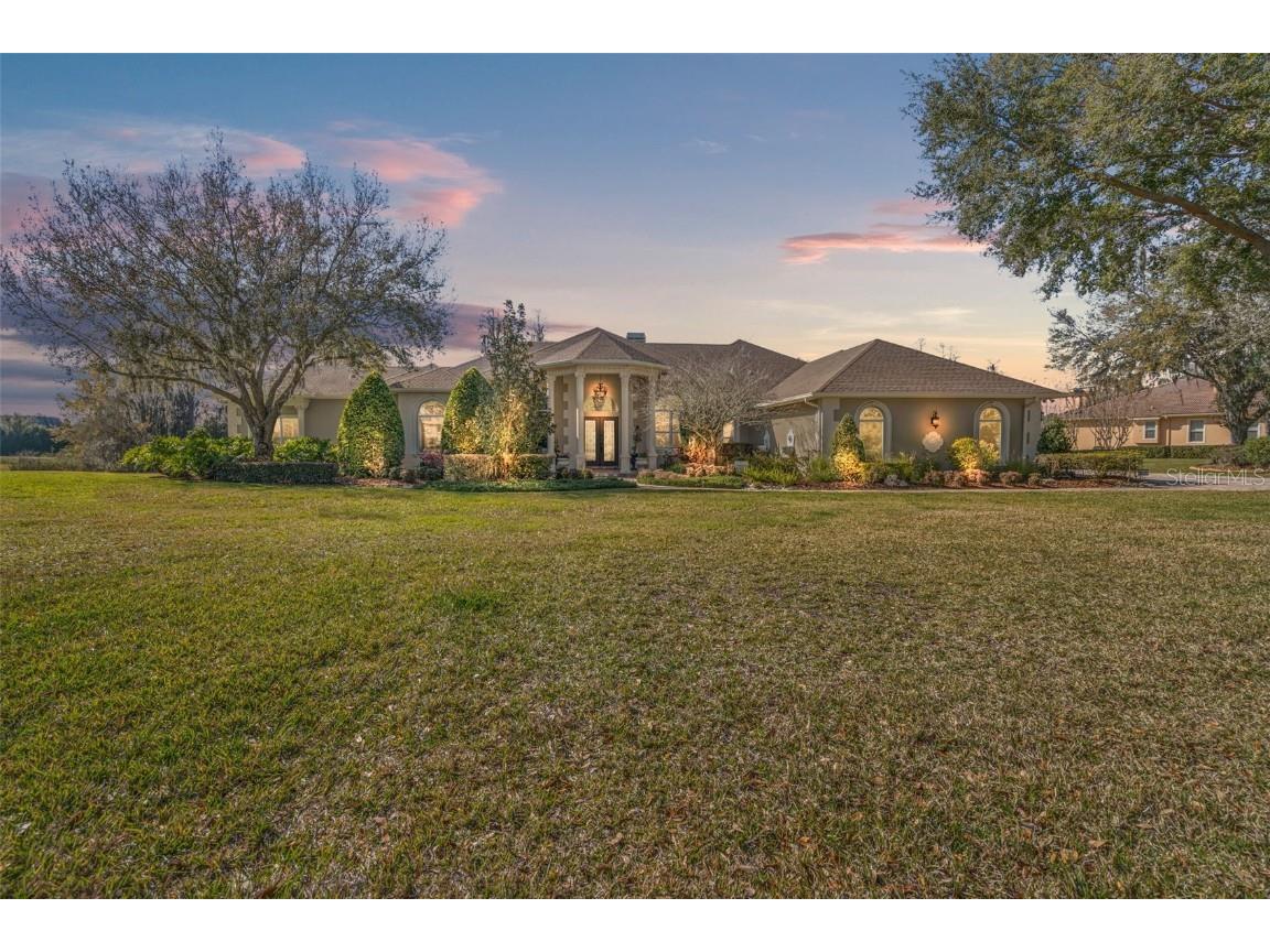 18730 Hillstone Drive Odessa FL 33556 - LAKE LONEY T3508500 image1