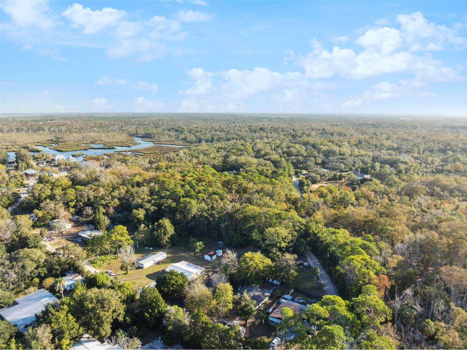 18730 Rosemary Road Hudson FL 34667 W7886483 image33
