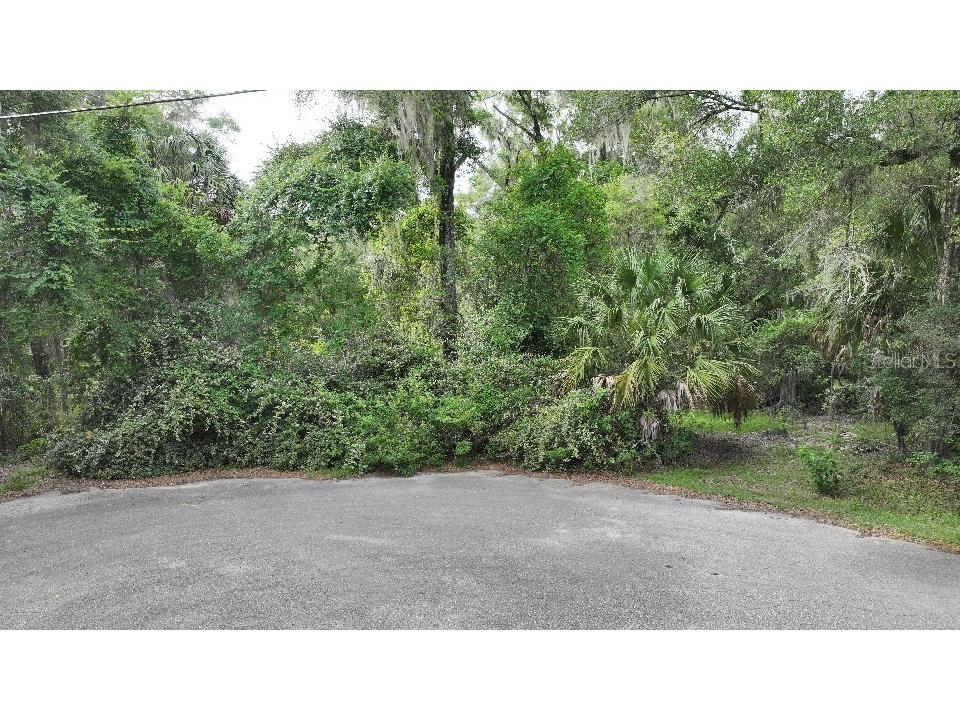 18731 SW 79th Place Dunnellon FL 34432 - RAINOW RIVER OM726729 image1